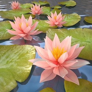 lily water v2