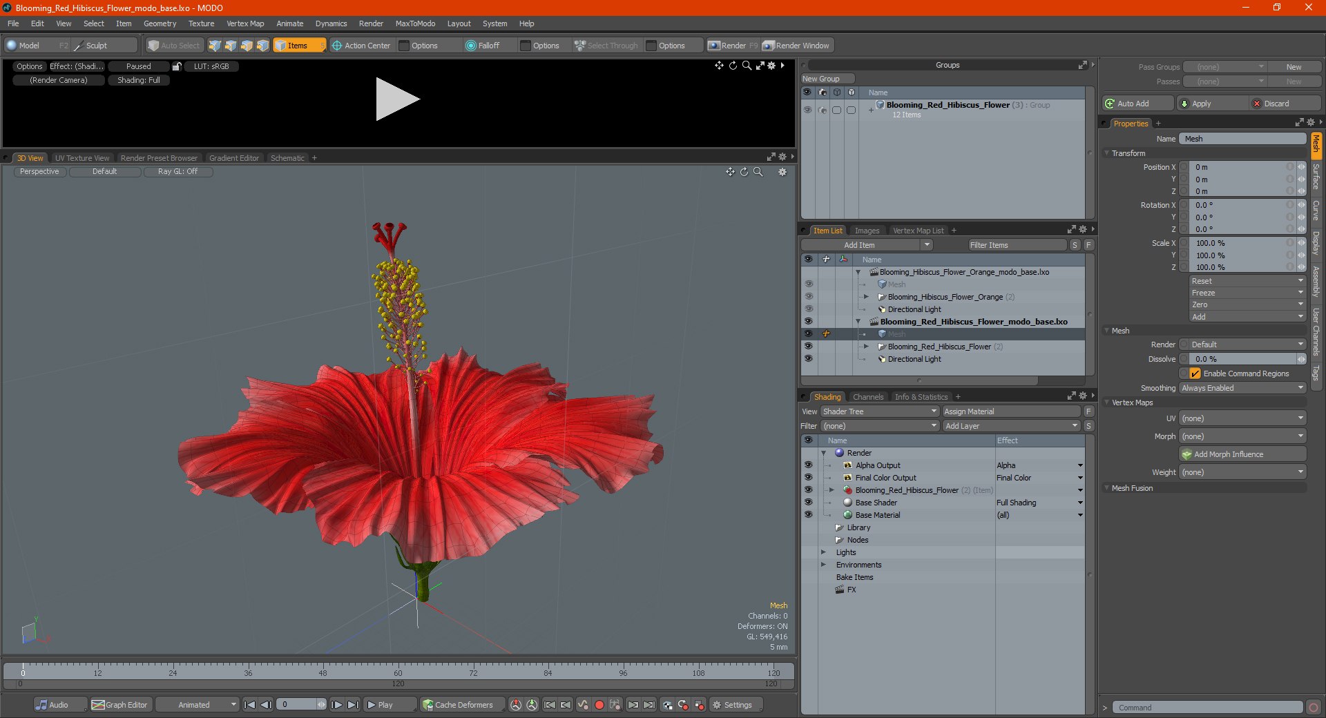 blooming red hibiscus flower model https://p.turbosquid.com/ts-thumb/26/S4QRD2/MYtV4OkW/bloomingredhibiscusflowervray3dmodel024/jpg/1605272485/1920x1080/fit_q87/1c017507963602e5ac25638d713d006d29460853/bloomingredhibiscusflowervray3dmodel024.jpg