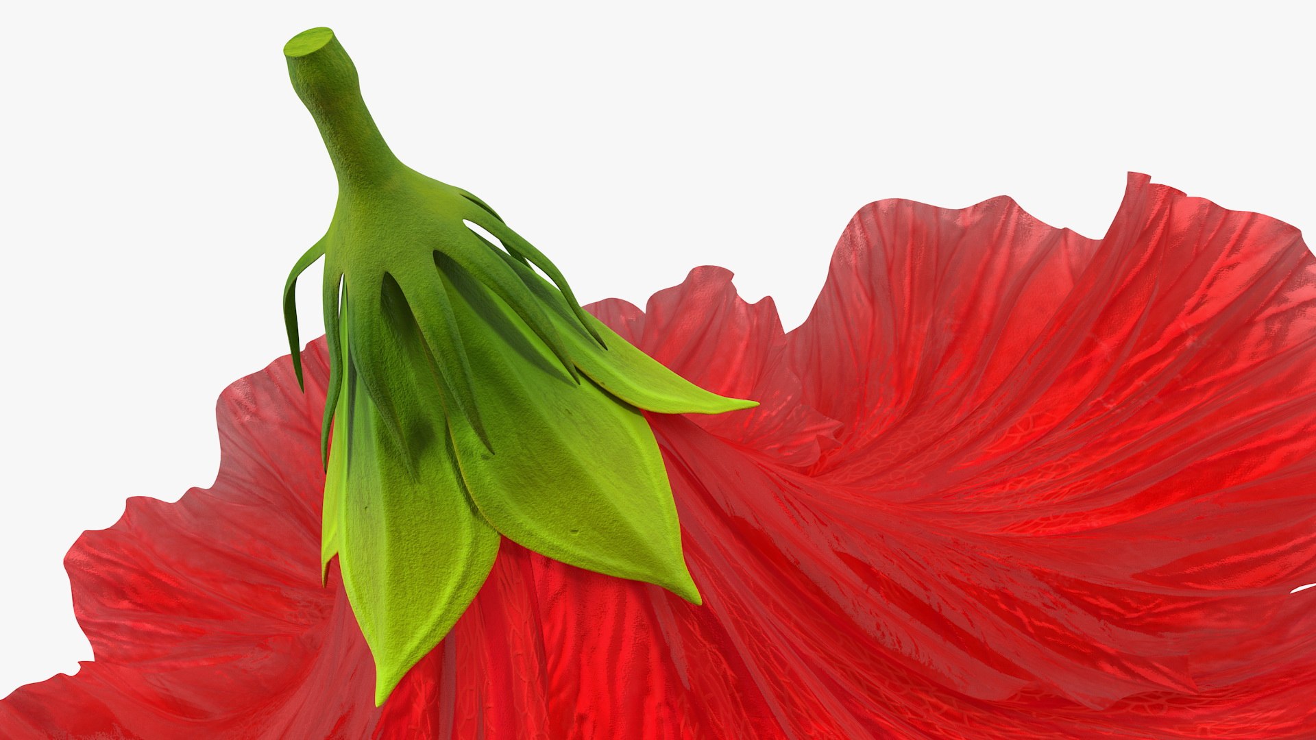 blooming red hibiscus flower model https://p.turbosquid.com/ts-thumb/26/S4QRD2/RLAO3cWk/bloomingredhibiscusflowervray3dmodel013/jpg/1605272324/1920x1080/fit_q87/59c3a0be085c19fc0af5f5a22caf455730a27824/bloomingredhibiscusflowervray3dmodel013.jpg