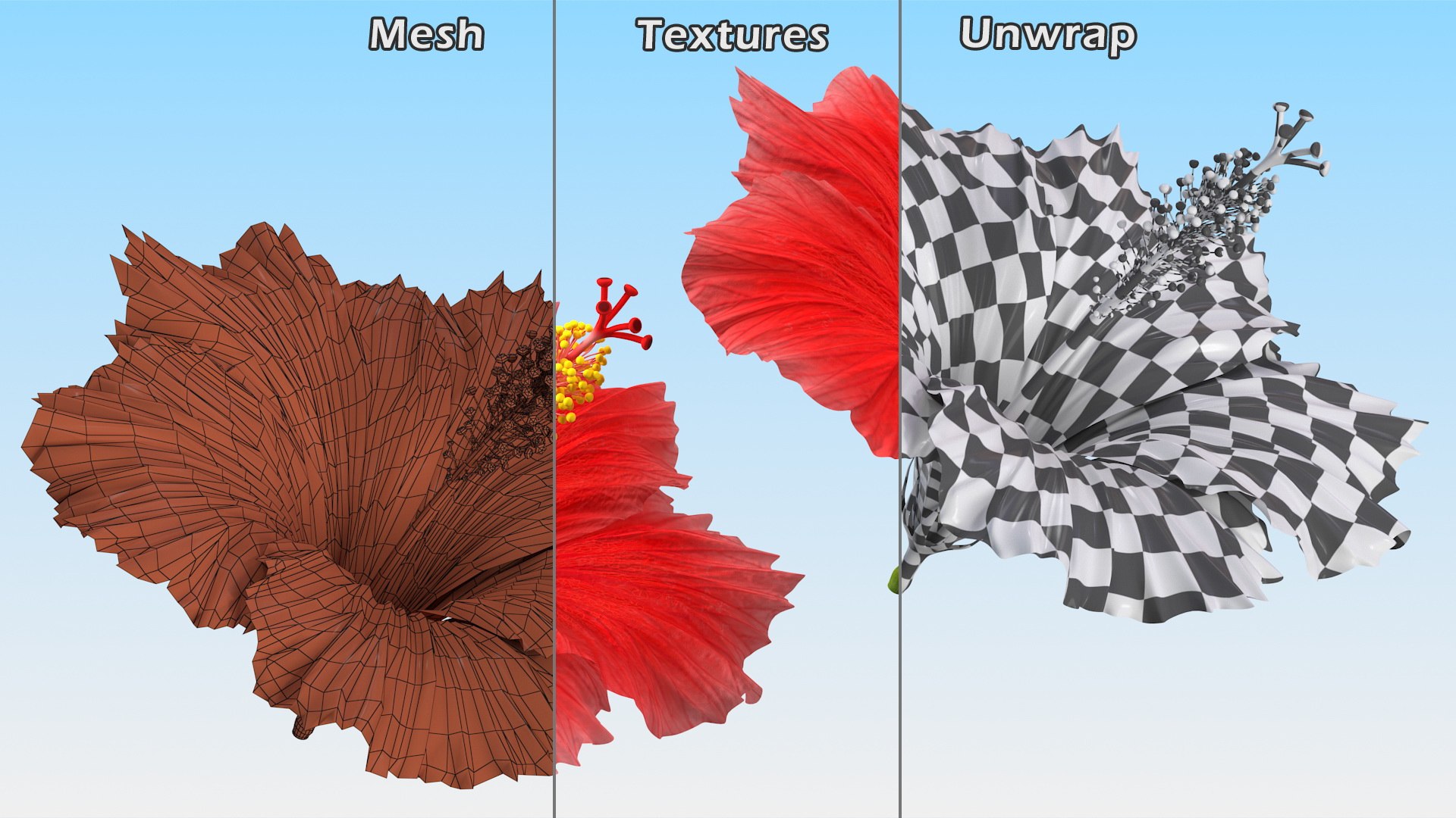 blooming red hibiscus flower model https://p.turbosquid.com/ts-thumb/26/S4QRD2/fKlnN5qC/bloomingredhibiscusflowervray3dmodel015/jpg/1605272353/1920x1080/fit_q87/b80c6aee0923142baafadf5705d8b4af1ac9f062/bloomingredhibiscusflowervray3dmodel015.jpg