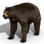3DRiversによるArctodus simus