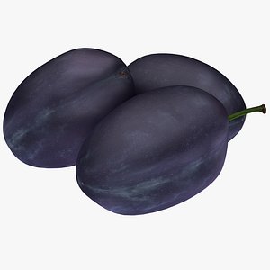 plum blue 3D model