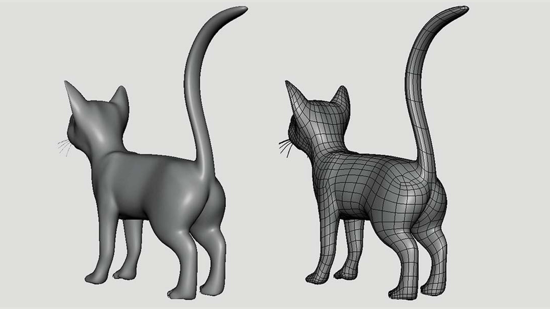 Cat Model - TurboSquid 2238268