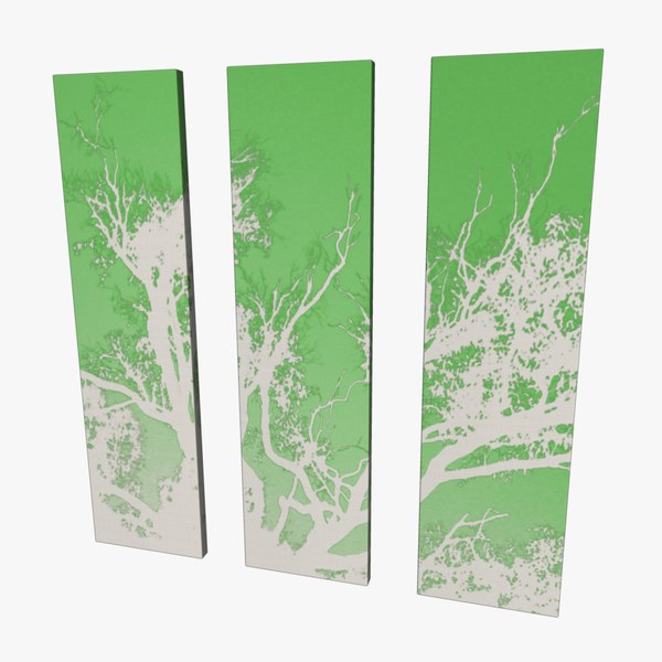 x long canvas frames