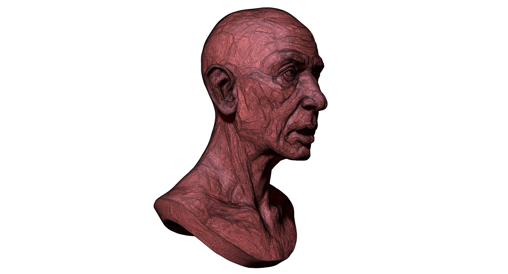 old man sculptures model https://p.turbosquid.com/ts-thumb/26/ptmk5F/lMP0qWhh/oldmanportrait02ww/jpg/1557666677/1920x1080/fit_q87/4e52c896cb7e8926d74c7d320aa359dfa938cb6b/oldmanportrait02ww.jpg