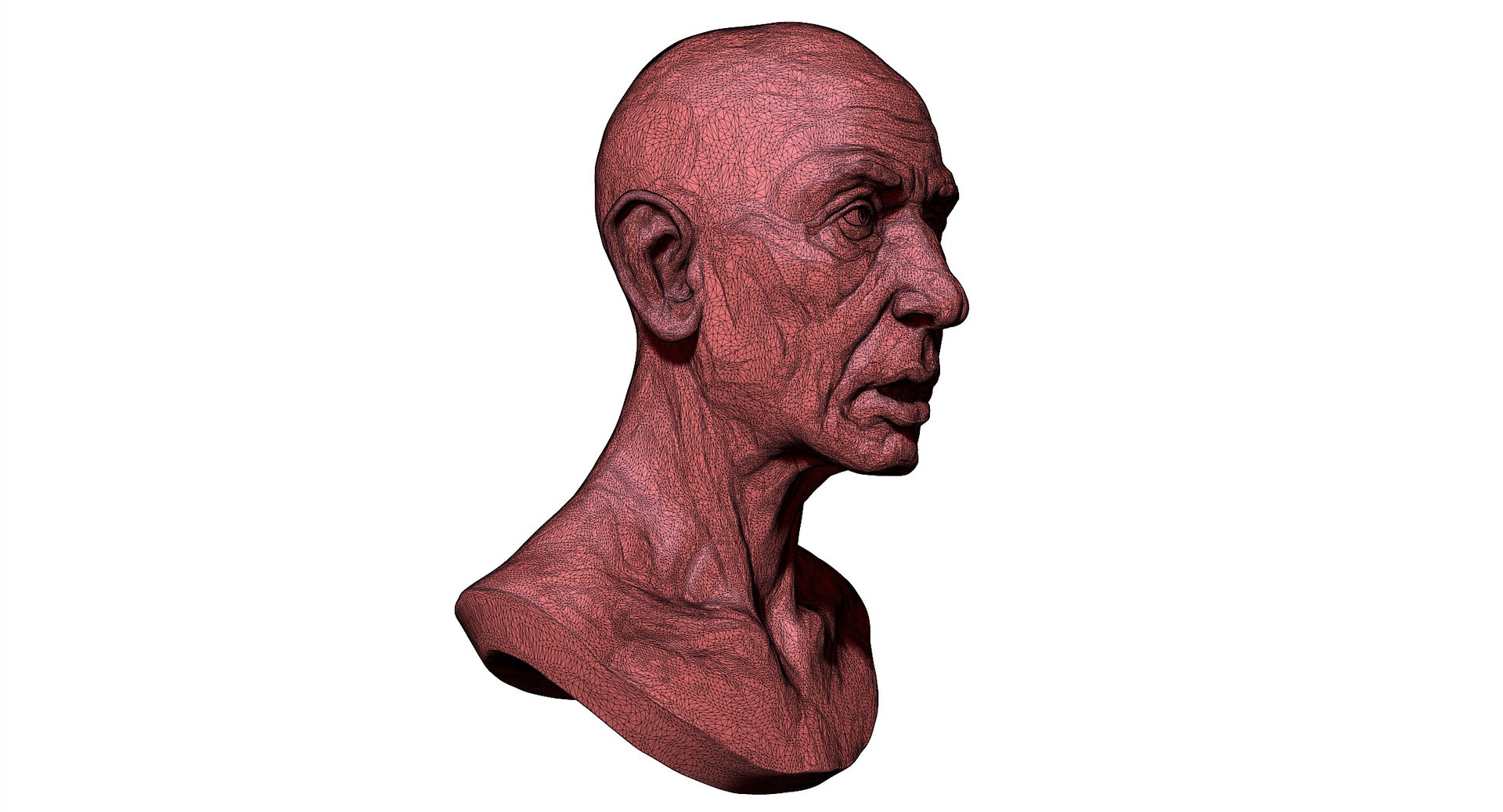 old man sculptures model https://p.turbosquid.com/ts-thumb/26/ptmk5F/v6Zh9XHt/oldmanportrait02w/jpg/1557666677/1920x1080/fit_q87/b994f833c302d11a38c4b8637483d6402f1fcf5f/oldmanportrait02w.jpg