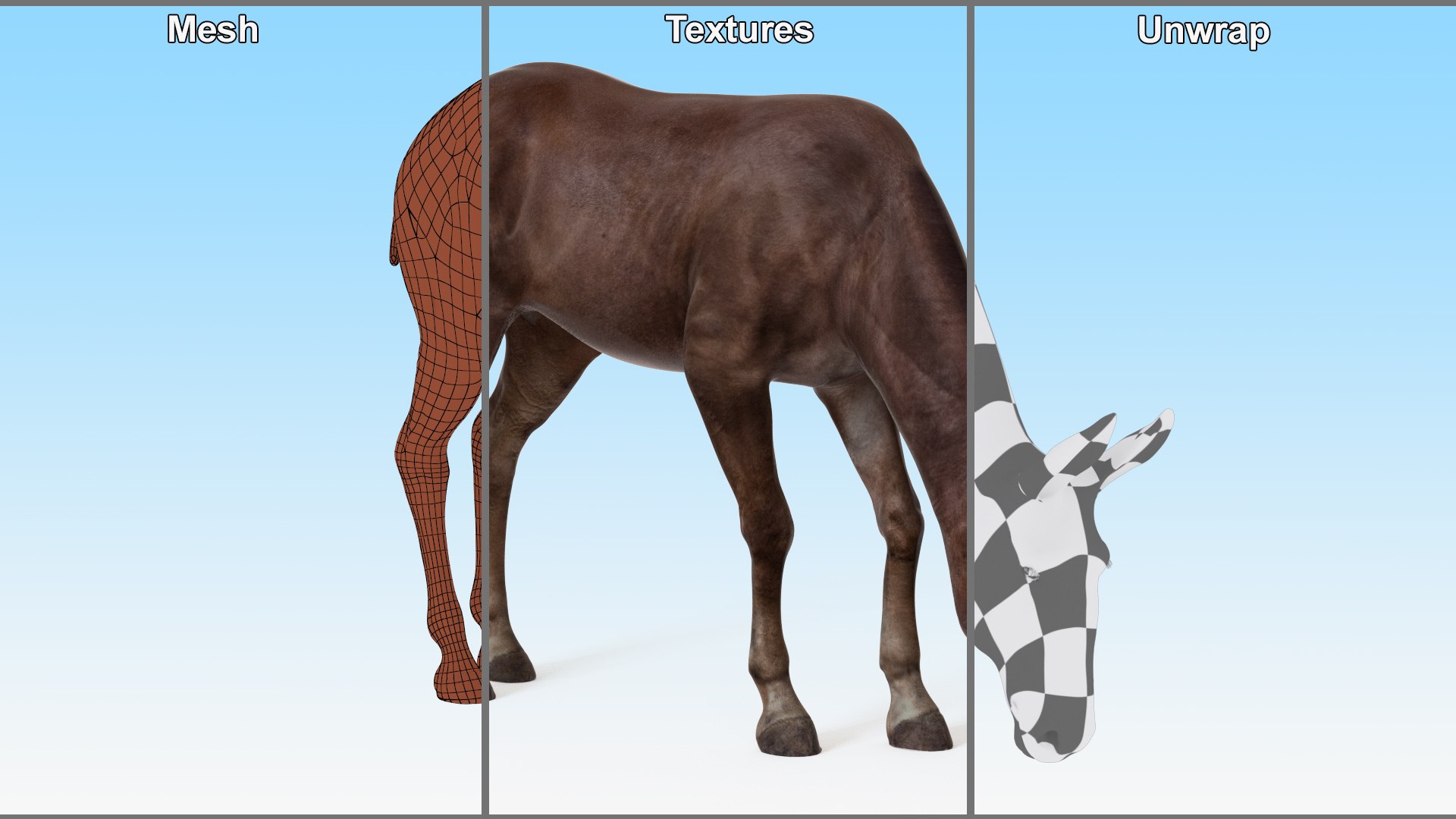 3D Eating Bay Mule Model - TurboSquid 2279912