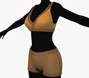 Brown Bra and Underwear 3D model