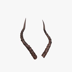 Horn V2