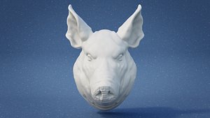 Pig Head Wall Mount