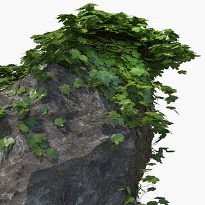 Ivy with Rock
