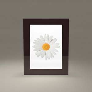 Picture Frame