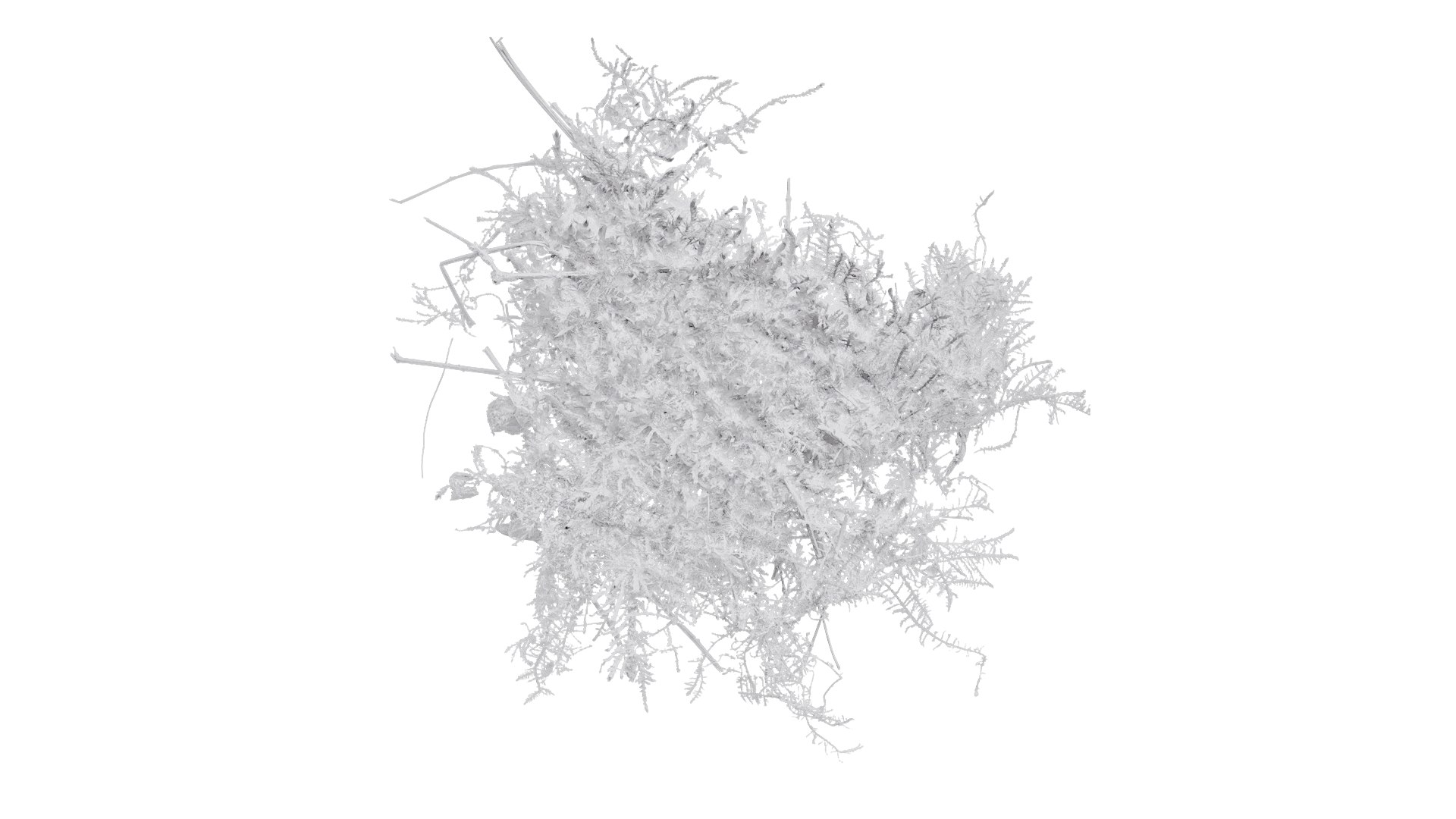 3D Bryophytes Texture Pack Model - TurboSquid 2316207