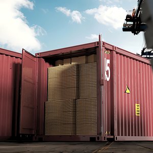 Shipping Container with Net-Wrapped Pallet Load Red and Brown