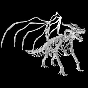 3D Dragon skeleton