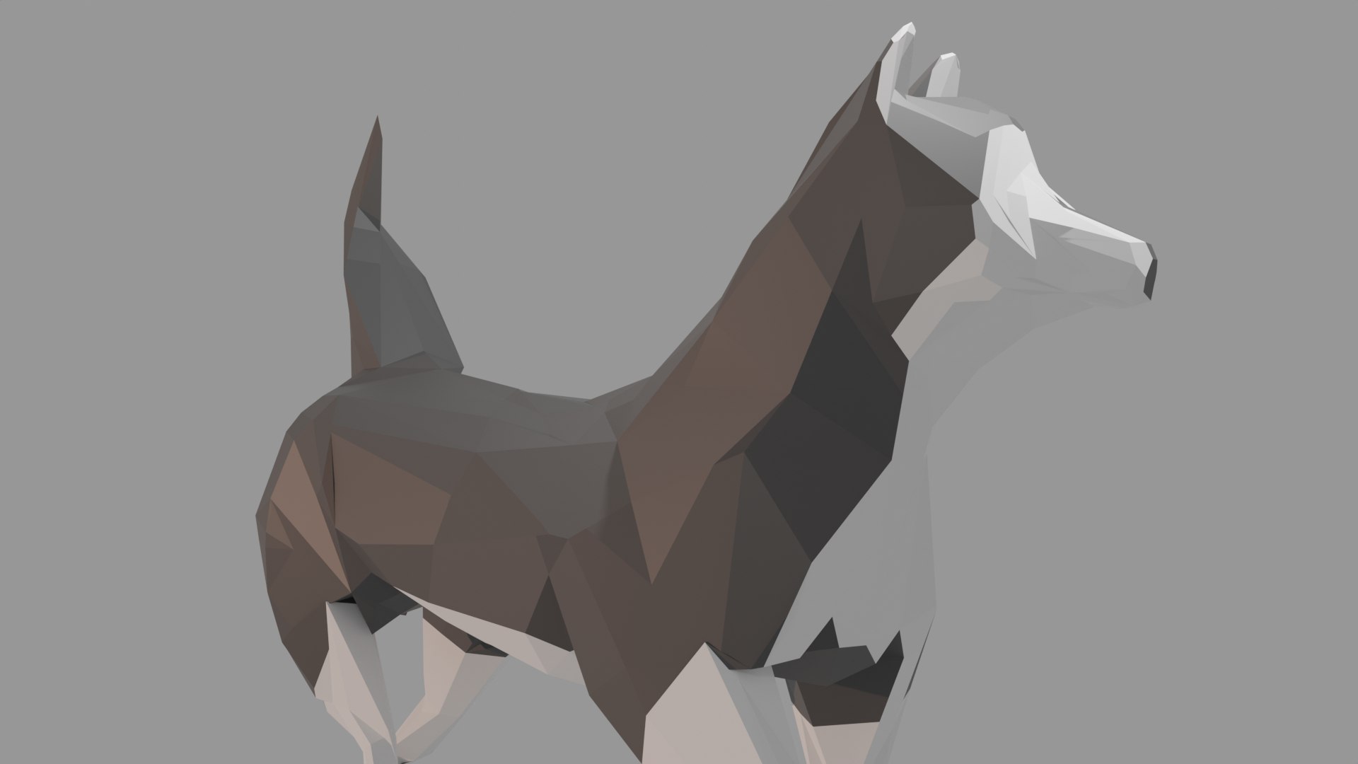 Low Poly Husky Dog Rigged Model - TurboSquid 2091242