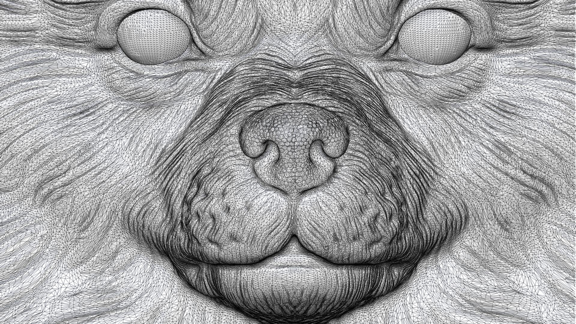 3D Pomeranian with a closed mouth https://p.turbosquid.com/ts-thumb/28/BU3jug/Lc/60/jpg/1744661743/1920x1080/fit_q87/7da6a5afcfb6b3048ac9b8b45b43281c31557641/60.jpg