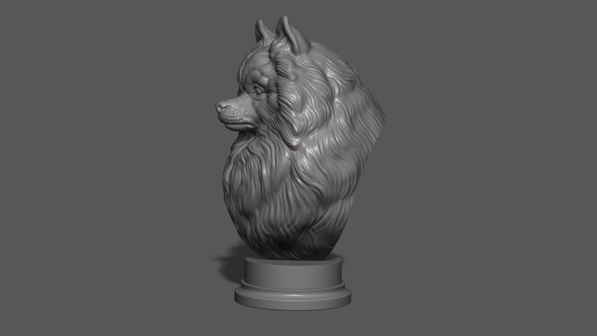 3D Pomeranian with a closed mouth https://p.turbosquid.com/ts-thumb/28/BU3jug/QB/22/jpg/1744661738/1920x1080/fit_q87/29a1b13b4362b6edcf12646a9098dcc1b2b3a7b5/22.jpg