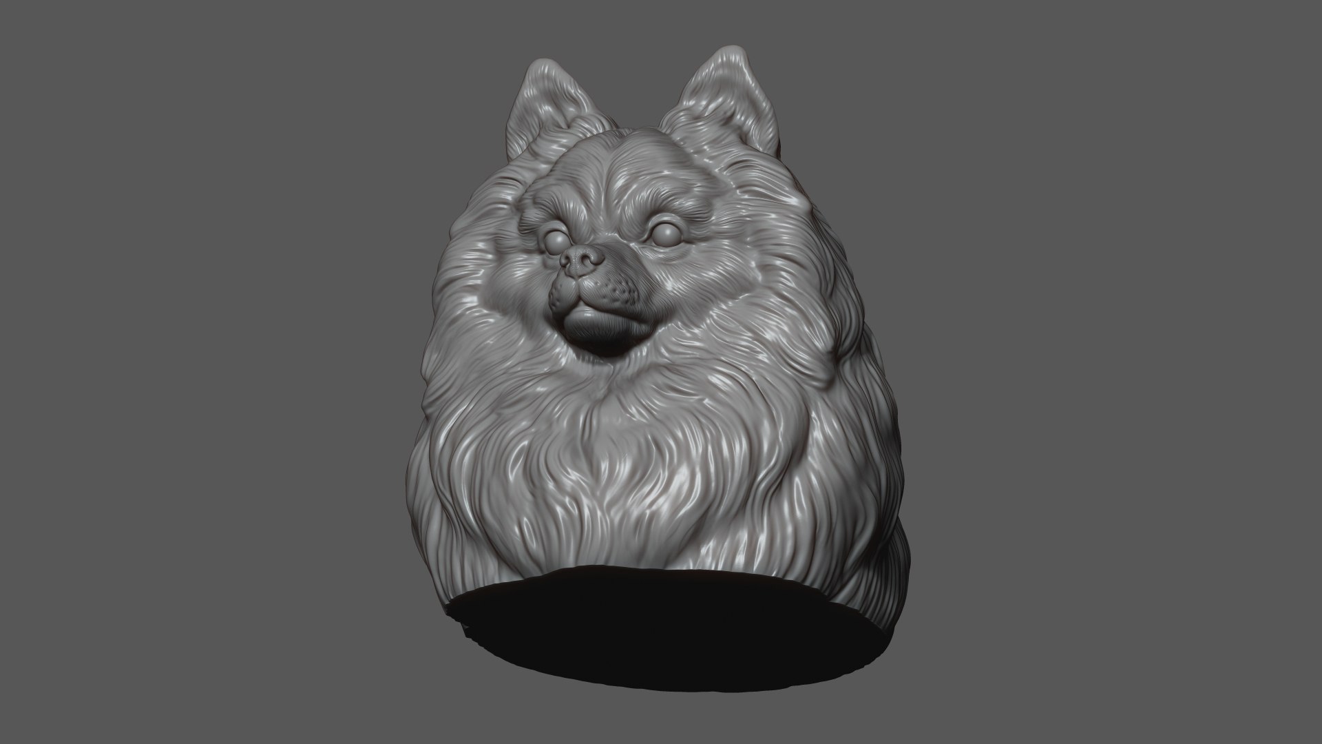 3D Pomeranian with a closed mouth https://p.turbosquid.com/ts-thumb/28/BU3jug/QC/13/jpg/1744661733/1920x1080/fit_q87/5081372bcd3b80c6aca895aae415ba0bc871bc81/13.jpg