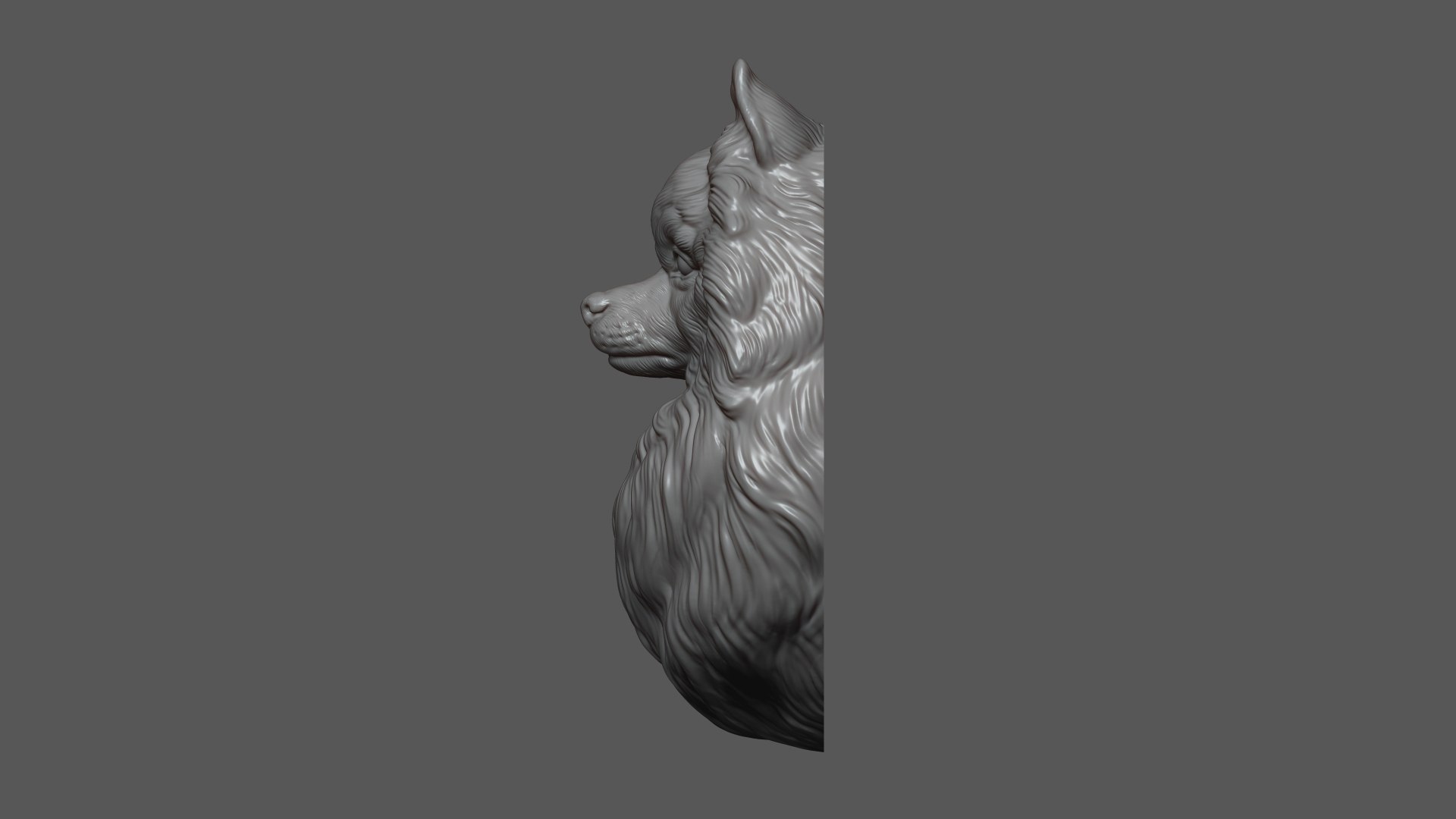 3D Pomeranian with a closed mouth https://p.turbosquid.com/ts-thumb/28/BU3jug/a3/4/jpg/1744661723/1920x1080/fit_q87/23e07ecae92c724e528baa64d2da40f68fe3b580/4.jpg