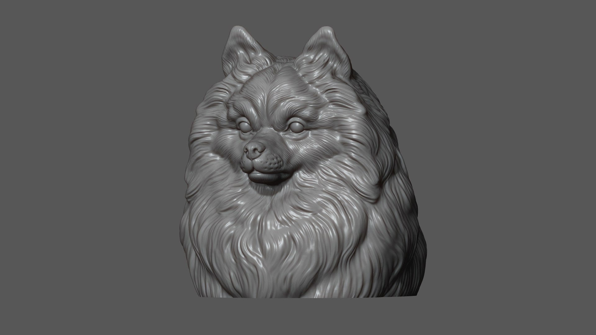 3D Pomeranian with a closed mouth https://p.turbosquid.com/ts-thumb/28/BU3jug/cx/11/jpg/1744661733/1920x1080/fit_q87/b06fb66ee7c474d35cc2f6a59bce3d6fc4fc3b7d/11.jpg