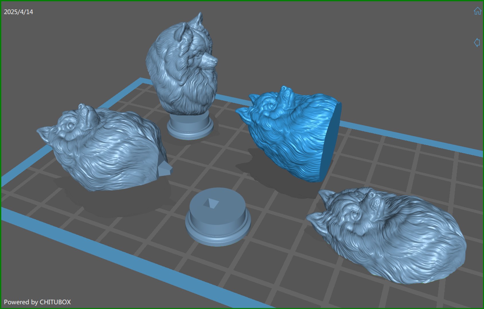 3D Pomeranian with a closed mouth https://p.turbosquid.com/ts-thumb/28/BU3jug/gg/2/png/1744661710/1920x1080/fit_q87/5e290e25dd14d597fa840cd3f5246328d78d2a79/2.jpg