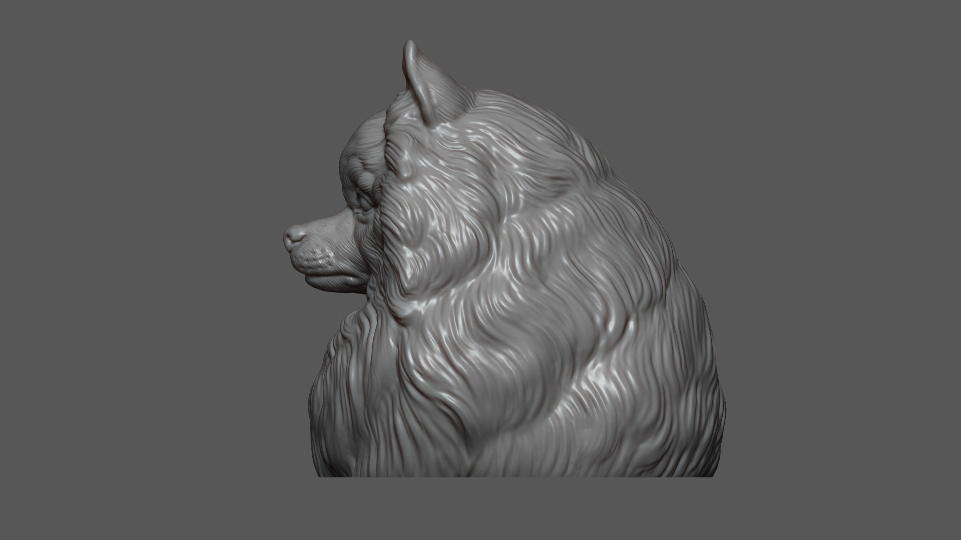3D Pomeranian with a closed mouth https://p.turbosquid.com/ts-thumb/28/BU3jug/sJ/12/jpg/1744661733/1920x1080/fit_q87/a7a8336dfa18287182bf2ad1489c477a25db5971/12.jpg