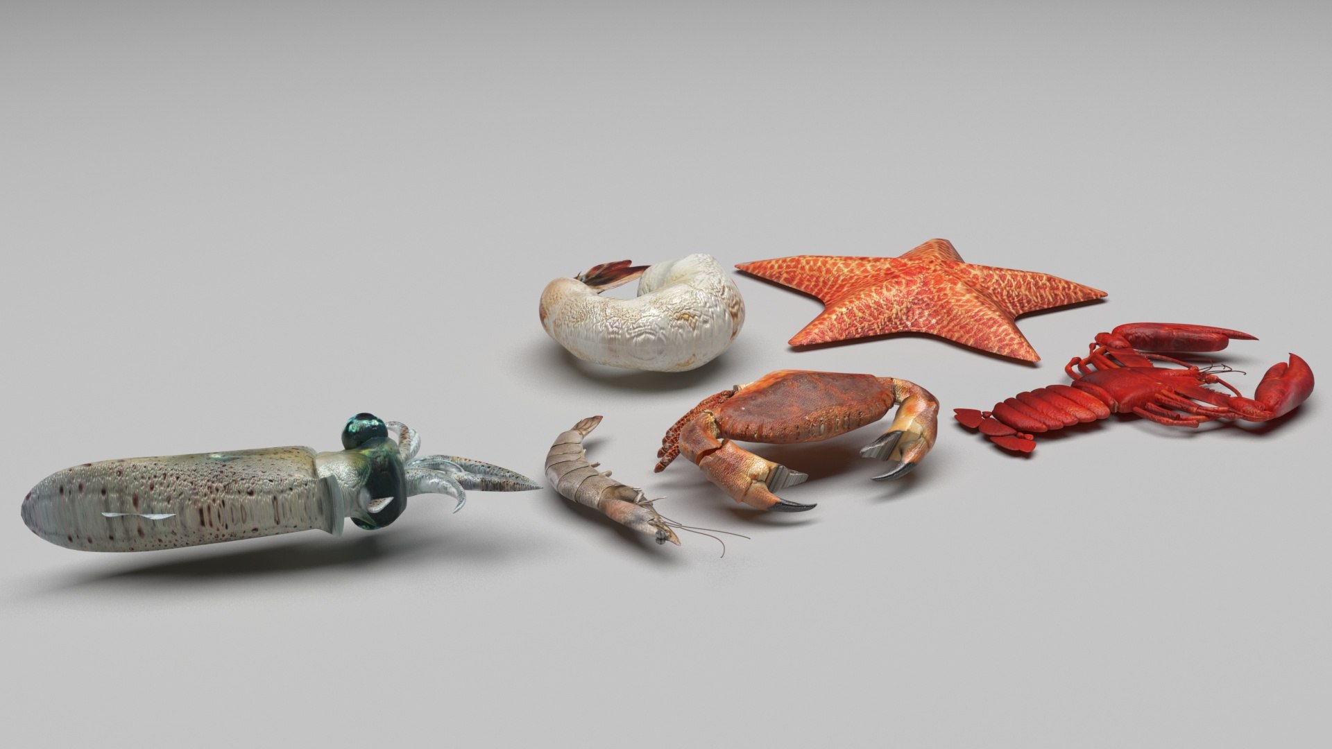 Sea Creatures Set model https://p.turbosquid.com/ts-thumb/28/BwTRVE/0x/seacreaturessetnew3/jpg/1725964479/1920x1080/fit_q87/9f5715501ffe7e354ad894f698daec0580339d59/seacreaturessetnew3.jpg