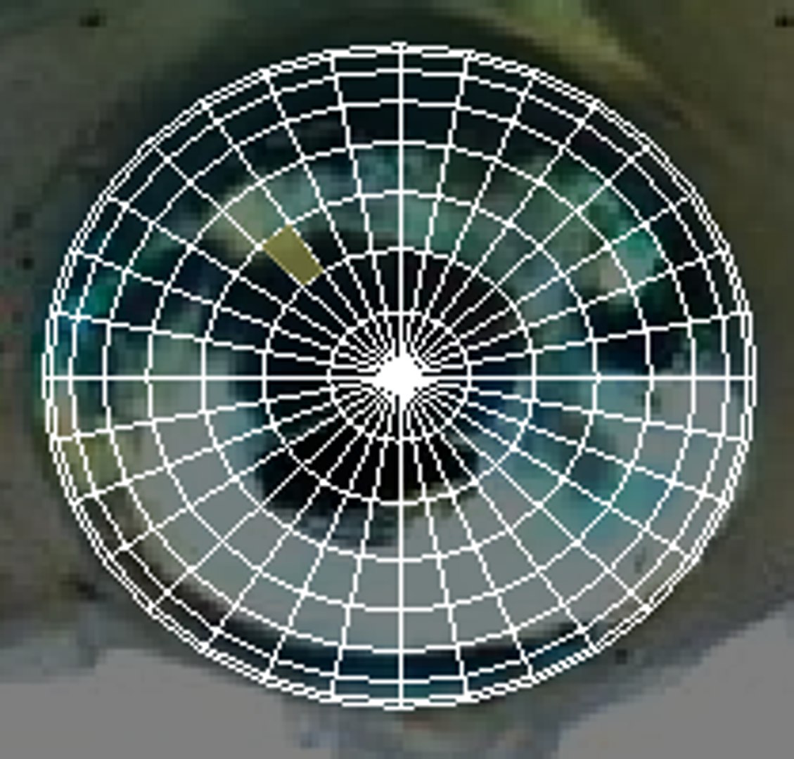 Sea Creatures Set model https://p.turbosquid.com/ts-thumb/28/BwTRVE/39/screenshot20220106162538/png/1725964724/1920x1080/fit_q87/8144643f33dcfdba5d87f583ab97daff741e8f96/screenshot20220106162538.jpg