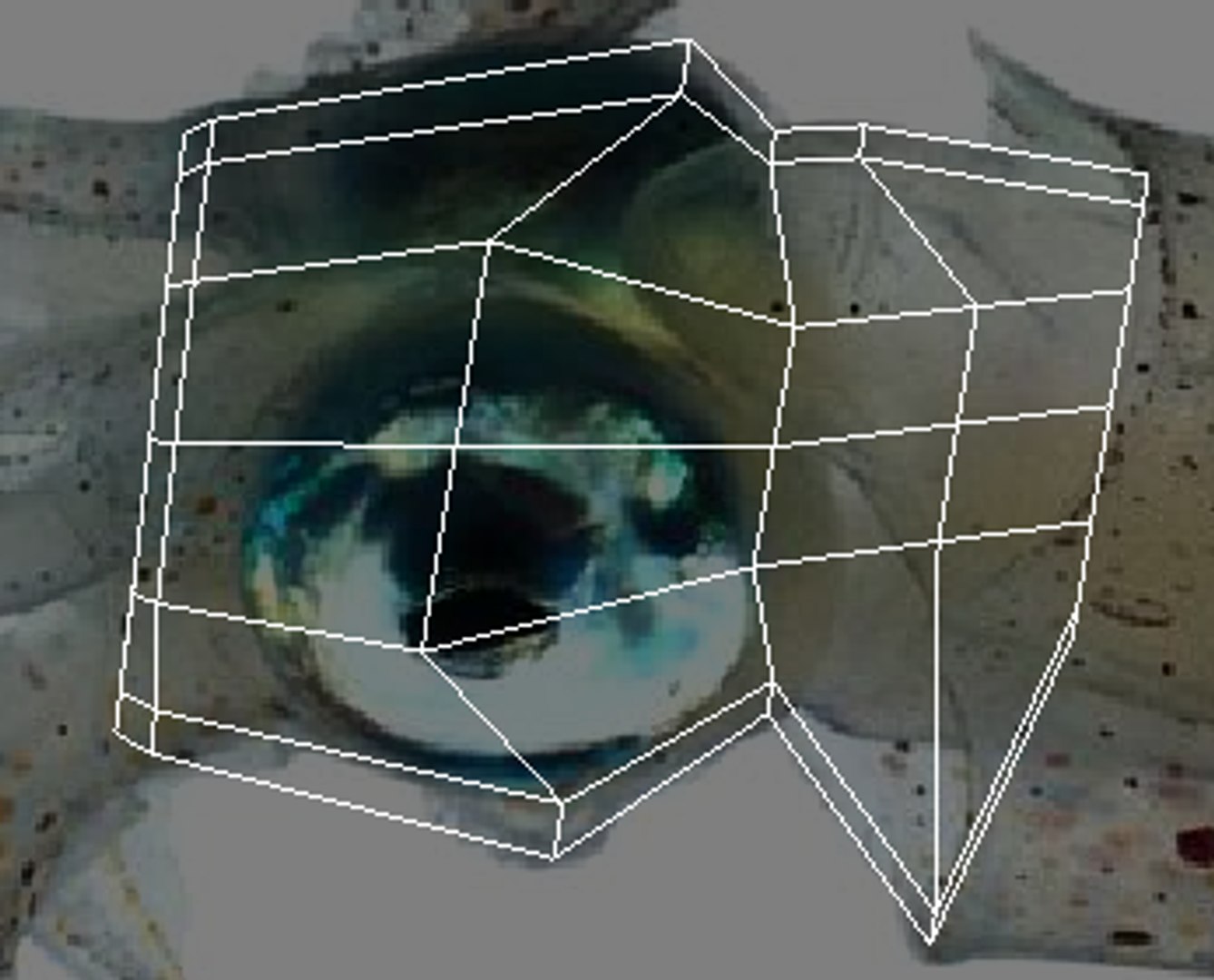 Sea Creatures Set model https://p.turbosquid.com/ts-thumb/28/BwTRVE/3D/screenshot20220106162500/png/1725964724/1920x1080/fit_q87/9b18ab5d4a8a32cf7ae37466cbe85c29deae09b3/screenshot20220106162500.jpg