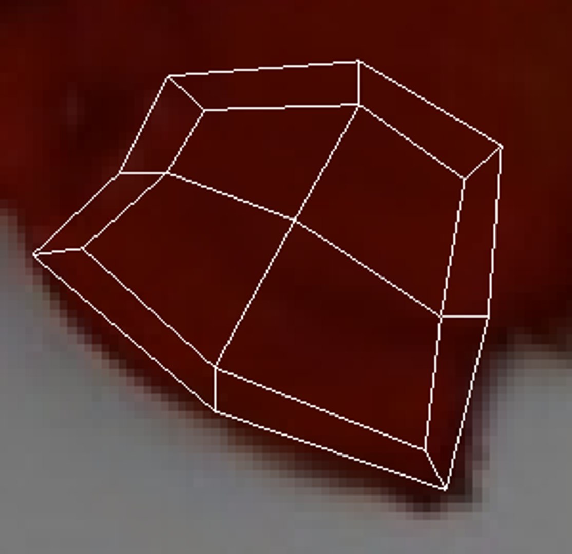 Sea Creatures Set model https://p.turbosquid.com/ts-thumb/28/BwTRVE/4w/screenshot20220106121901/png/1725964713/1920x1080/fit_q87/b2a1f006fce37a8f9cfd93134529b876f212f66a/screenshot20220106121901.jpg