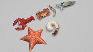 Sea Creatures Set model