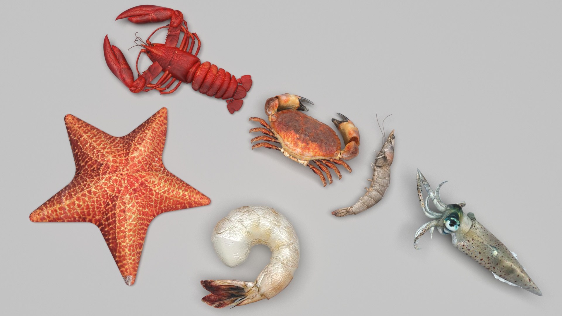 Sea Creatures Set model https://p.turbosquid.com/ts-thumb/28/BwTRVE/97/seacreaturessetnew2/jpg/1725964480/1920x1080/fit_q87/029a61afb7f3805abc001afaf71ffa18d7cab4a8/seacreaturessetnew2.jpg