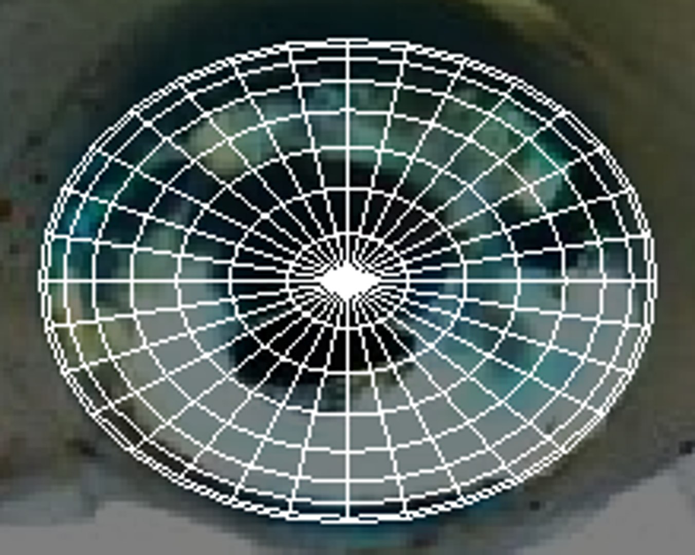 Sea Creatures Set model https://p.turbosquid.com/ts-thumb/28/BwTRVE/AC/screenshot20220106162612/png/1725964725/1920x1080/fit_q87/821b789af49b2ce9abcfe9aef609947ff73be5e6/screenshot20220106162612.jpg