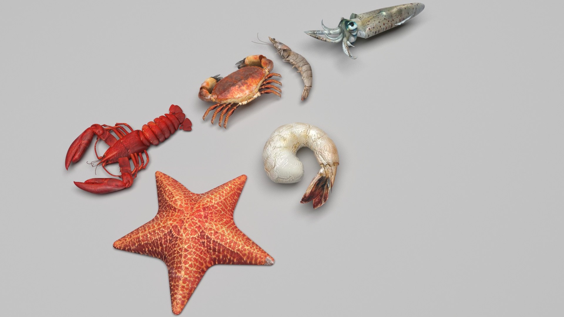 Sea Creatures Set model https://p.turbosquid.com/ts-thumb/28/BwTRVE/C4/seacreaturessetnew12/jpg/1725964474/1920x1080/fit_q87/5d7f58da42ee779a2d435b2710f0a92d14422759/seacreaturessetnew12.jpg