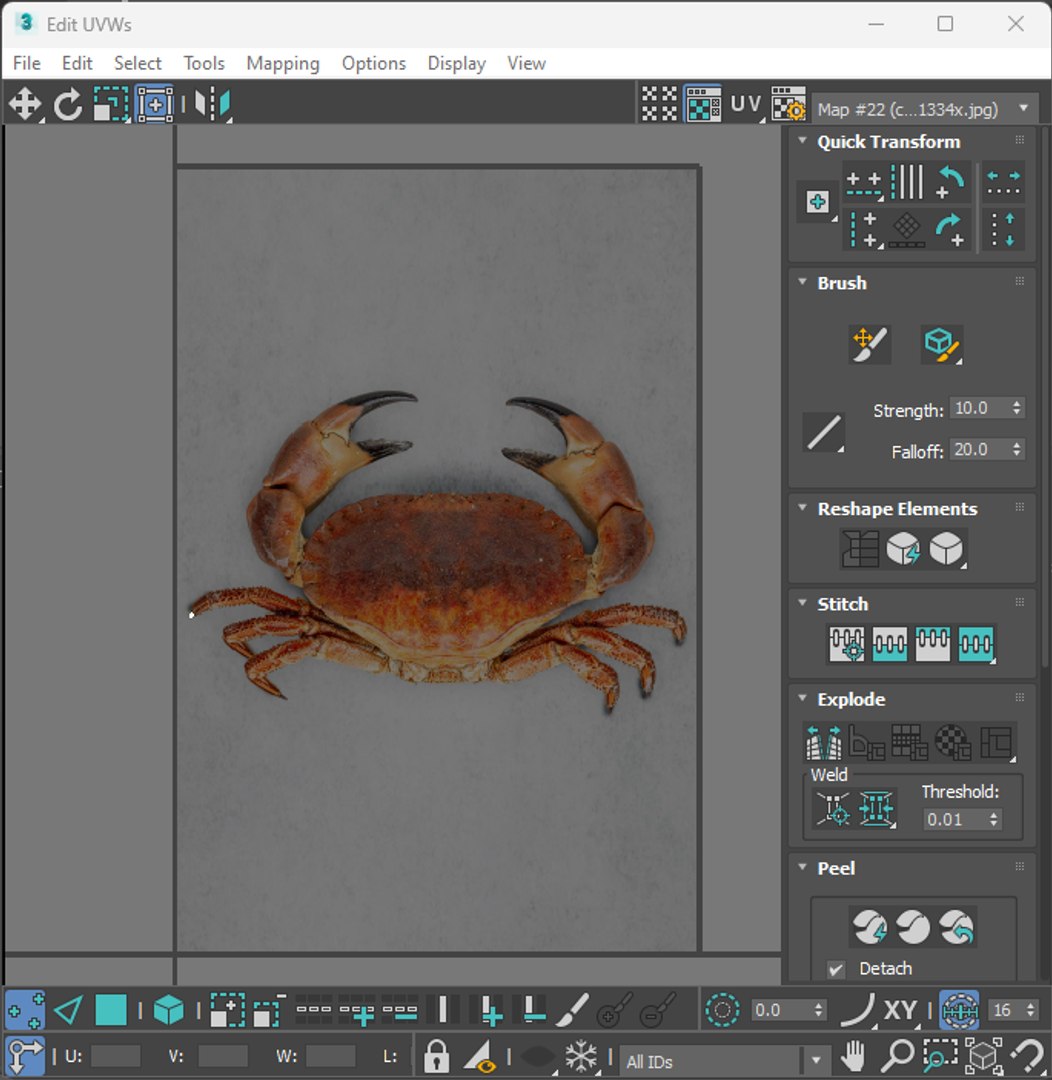 Sea Creatures Set model https://p.turbosquid.com/ts-thumb/28/BwTRVE/FA/screenshot20240125170935/png/1725964743/1920x1080/fit_q87/ce400a76ab09af1faee6215b19202f5d99d7e677/screenshot20240125170935.jpg