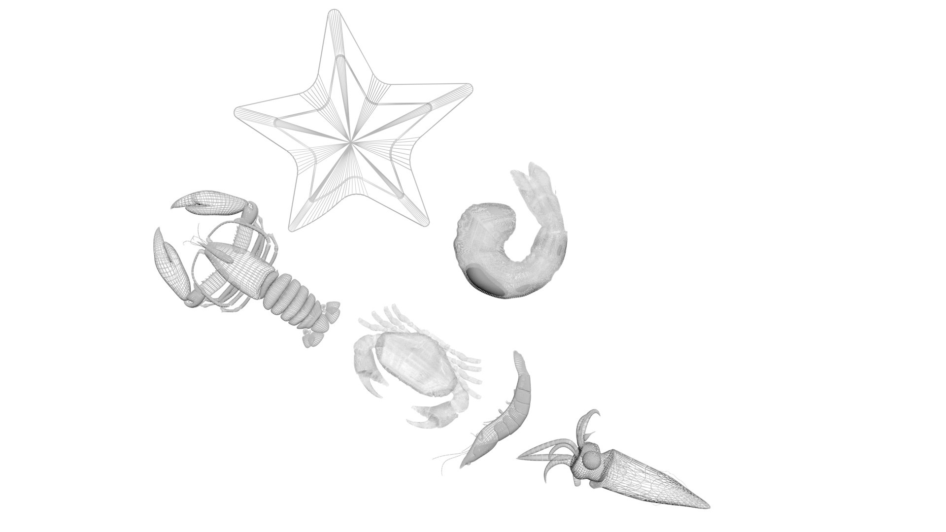 Sea Creatures Set model https://p.turbosquid.com/ts-thumb/28/BwTRVE/G7/seacreaturessetnew36/jpg/1725964462/1920x1080/fit_q87/91395f76b02d7f5dc04c119e6383d69a71a28ea9/seacreaturessetnew36.jpg