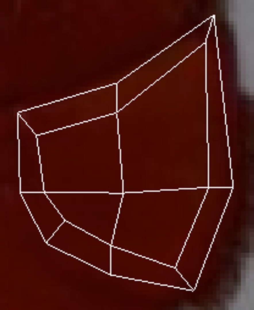 Sea Creatures Set model https://p.turbosquid.com/ts-thumb/28/BwTRVE/Ie/screenshot20220106121756/png/1725964713/1920x1080/fit_q87/93293748d3e6f92d3d2c4f7a7dee2217d2c36e6d/screenshot20220106121756.jpg