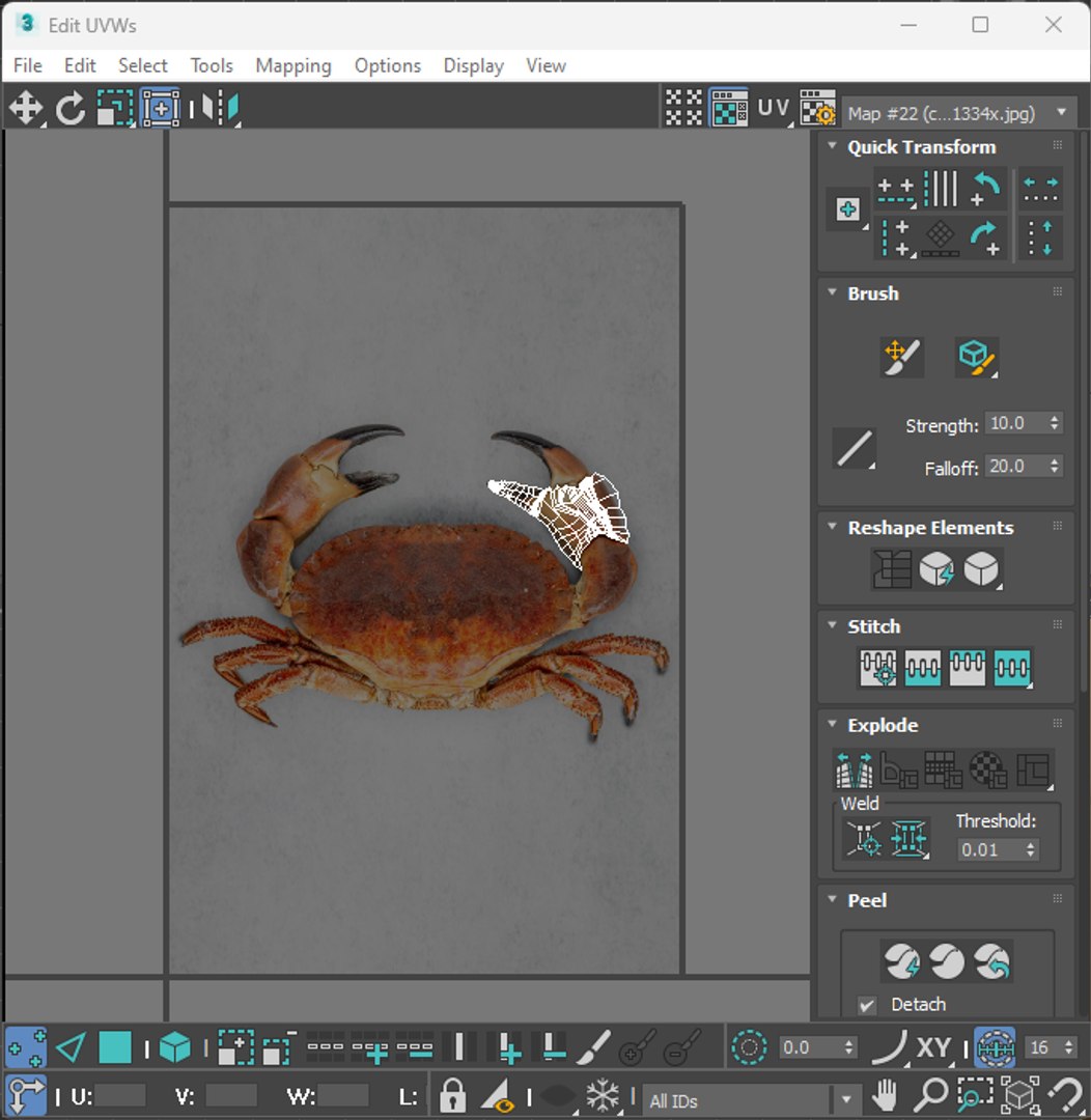 Sea Creatures Set model https://p.turbosquid.com/ts-thumb/28/BwTRVE/Ig/screenshot20240130123723/png/1725964773/1920x1080/fit_q87/fc97f442baed69eed9d87f6faafdb99a77901e47/screenshot20240130123723.jpg