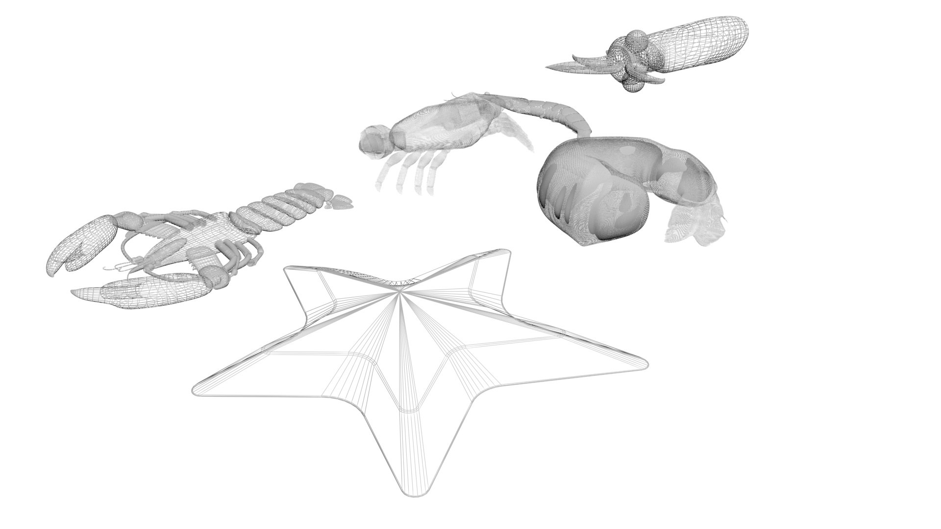 Sea Creatures Set model https://p.turbosquid.com/ts-thumb/28/BwTRVE/KE/seacreaturessetnew32/jpg/1725964464/1920x1080/fit_q87/2341b1c404a852a8f639a4749474b2040f8f1ed1/seacreaturessetnew32.jpg