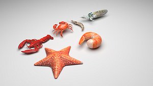 Sea Creatures Set model