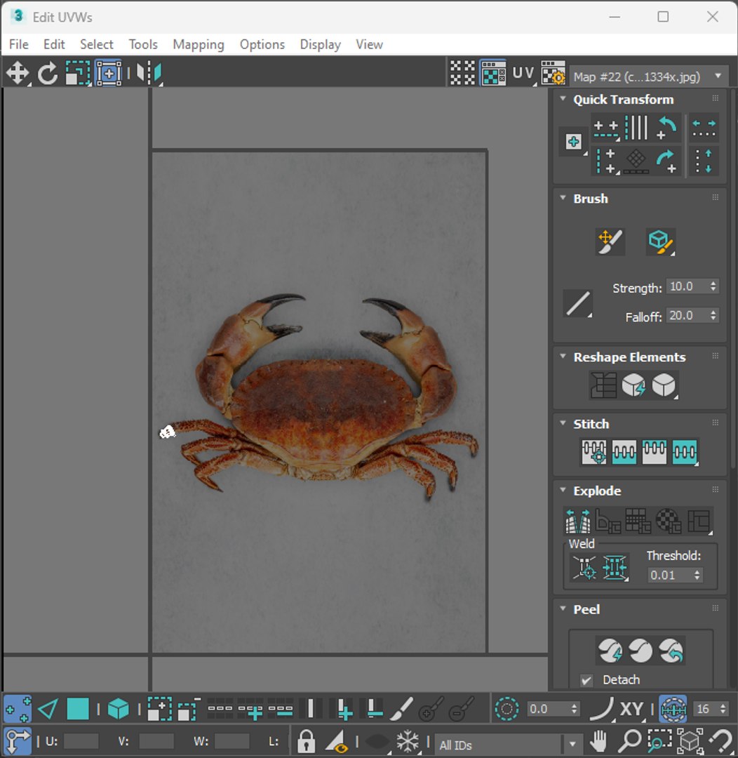 Sea Creatures Set model https://p.turbosquid.com/ts-thumb/28/BwTRVE/LT/screenshot20240125170608/png/1725964743/1920x1080/fit_q87/77347f89b7d8f6dcfe21853e29c0db346b4e7eb8/screenshot20240125170608.jpg
