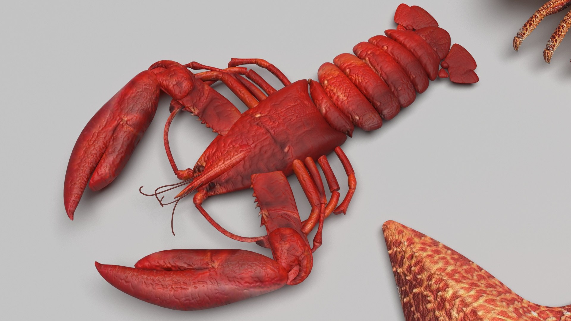 Sea Creatures Set model https://p.turbosquid.com/ts-thumb/28/BwTRVE/NL/seacreaturessetnew6/jpg/1725964477/1920x1080/fit_q87/87b65a8cdcd5e8e148d04a2a46e23b78da7a3cdd/seacreaturessetnew6.jpg