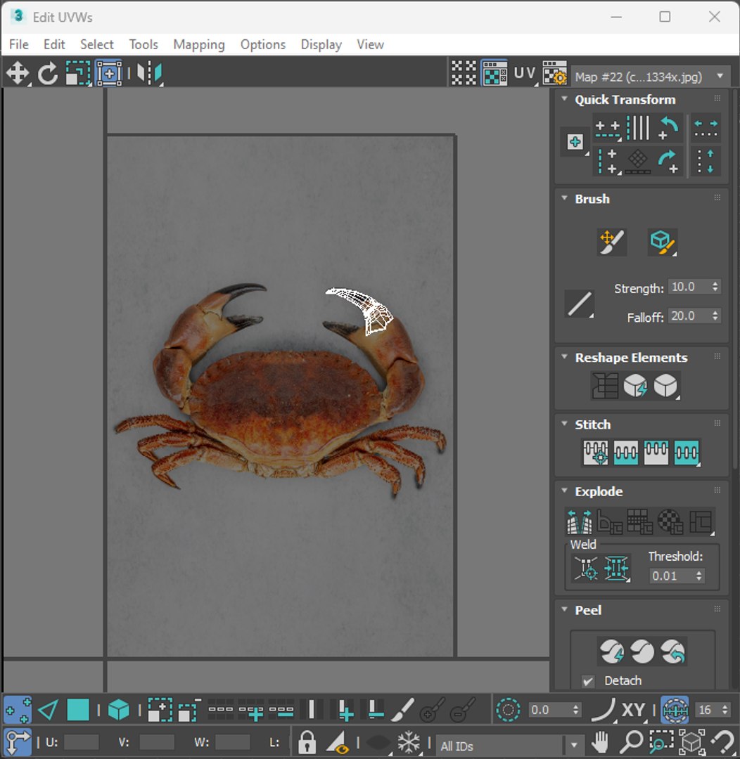 Sea Creatures Set model https://p.turbosquid.com/ts-thumb/28/BwTRVE/O7/screenshot20240130124721/png/1725964774/1920x1080/fit_q87/01f359badf78b70d85bfcfdf0b598920a9aad7b6/screenshot20240130124721.jpg