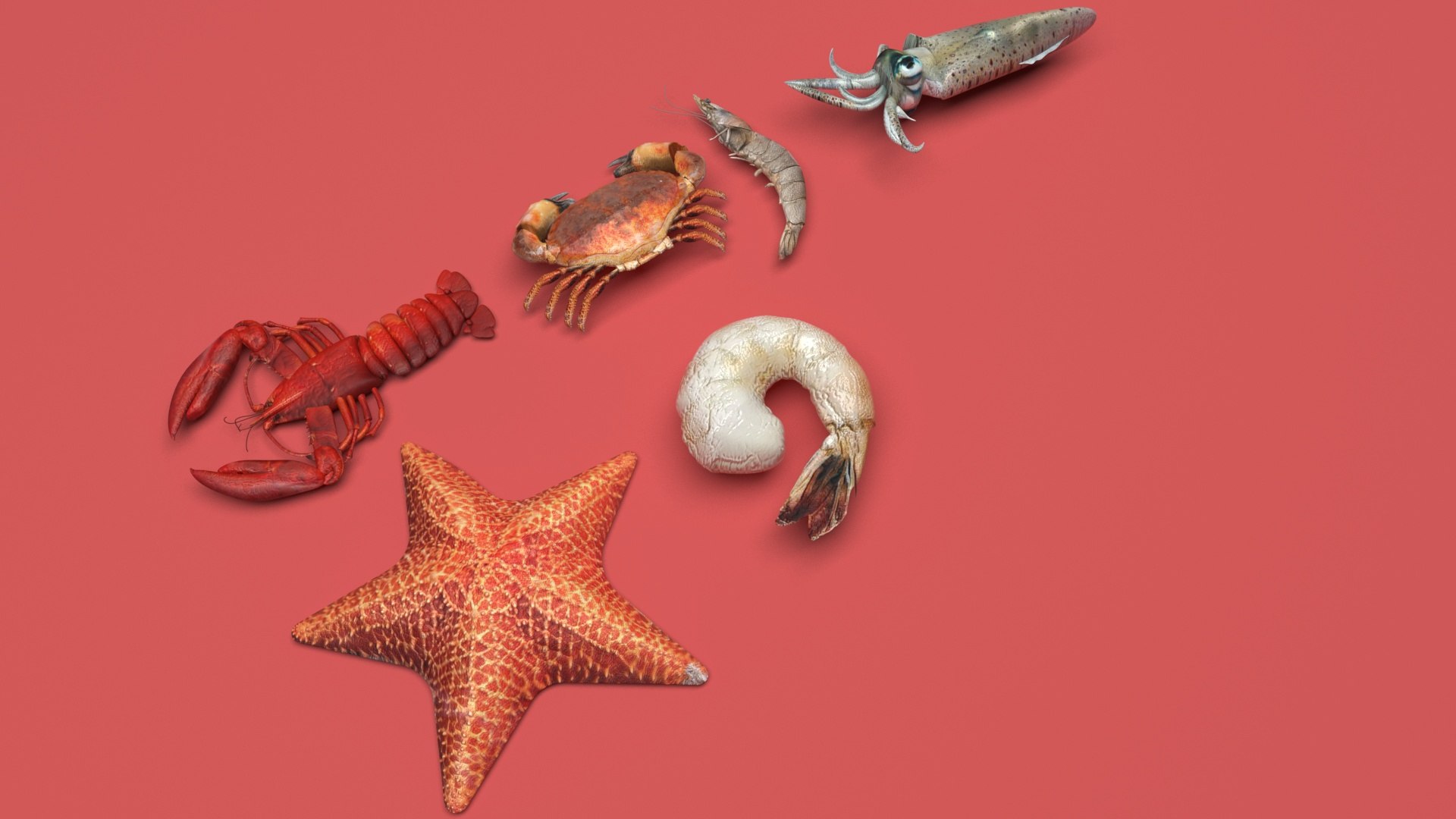 Sea Creatures Set model https://p.turbosquid.com/ts-thumb/28/BwTRVE/S2/seacreaturessetnew13/jpg/1725964473/1920x1080/fit_q87/3916bf313436127343ffb0f5b15977feb4deddf3/seacreaturessetnew13.jpg