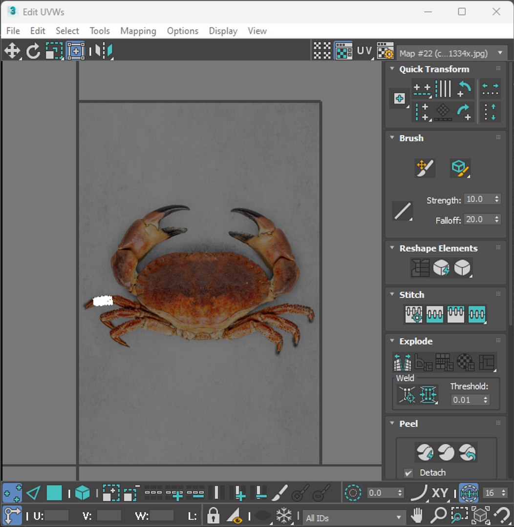 Sea Creatures Set model https://p.turbosquid.com/ts-thumb/28/BwTRVE/TO/screenshot20240125145942/png/1725964742/1920x1080/fit_q87/ec9d1e473bec66e2b1e2fd03e18cbb414bf5d9e5/screenshot20240125145942.jpg