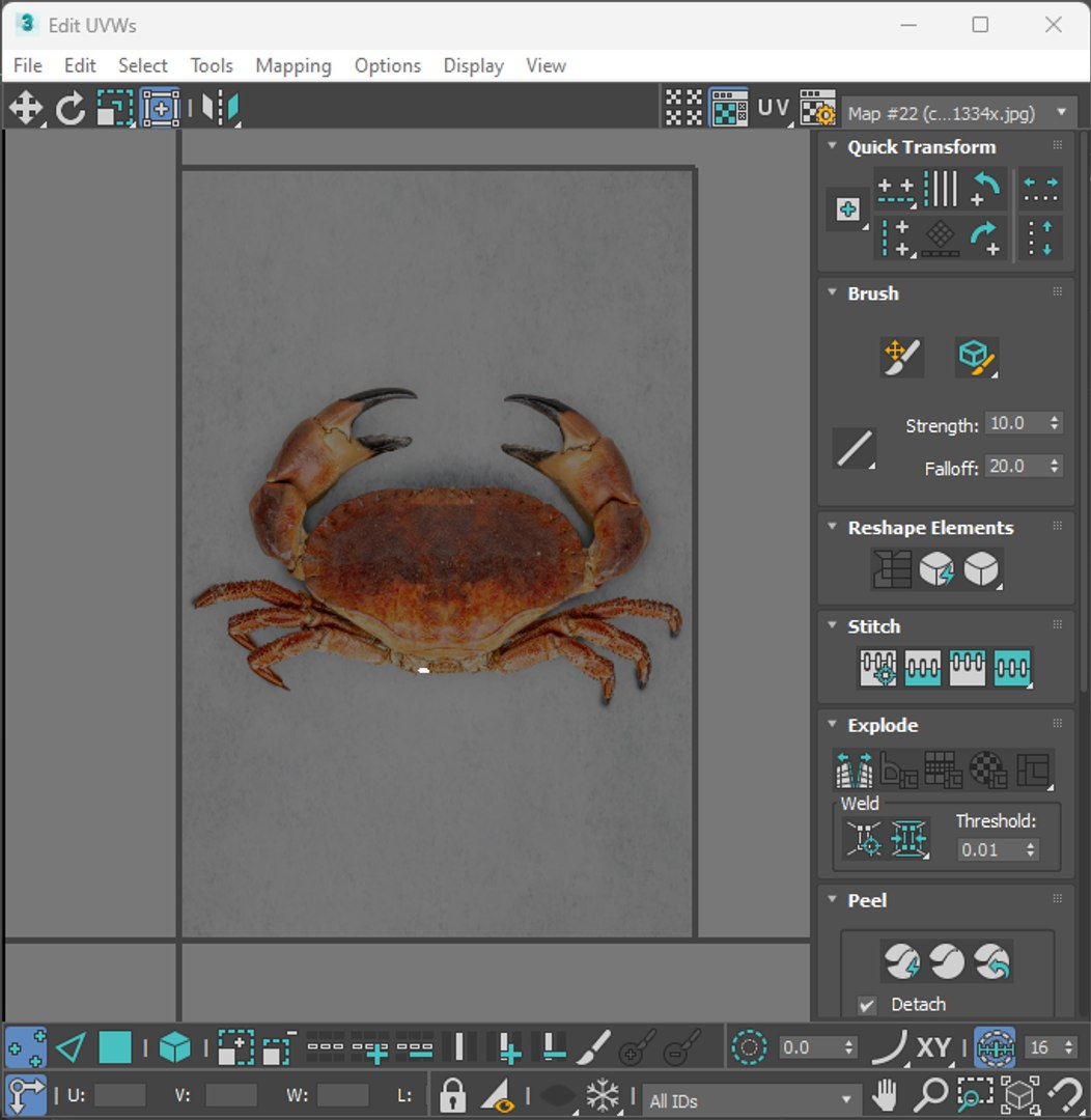 Sea Creatures Set model https://p.turbosquid.com/ts-thumb/28/BwTRVE/WU/screenshot20240126124650/png/1725964741/1920x1080/fit_q87/ea54f8c6520e472b9dc8e852ab21203709dc0e7b/screenshot20240126124650.jpg
