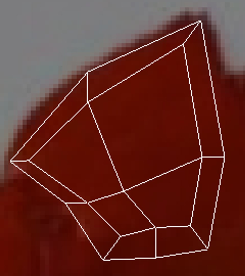 Sea Creatures Set model https://p.turbosquid.com/ts-thumb/28/BwTRVE/YK/screenshot20220106121652/png/1725964712/1920x1080/fit_q87/abc76355aea3109a02c8c6bd122550d4c4fd8af0/screenshot20220106121652.jpg