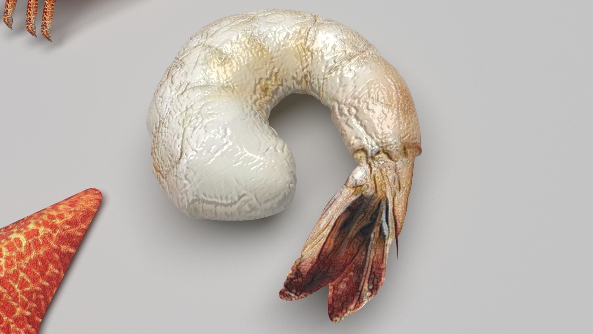 Sea Creatures Set model https://p.turbosquid.com/ts-thumb/28/BwTRVE/ZC/seacreaturessetnew11/jpg/1725964475/1920x1080/fit_q87/fb82a5dded1c76180f40ca1bbdb02d353e993842/seacreaturessetnew11.jpg