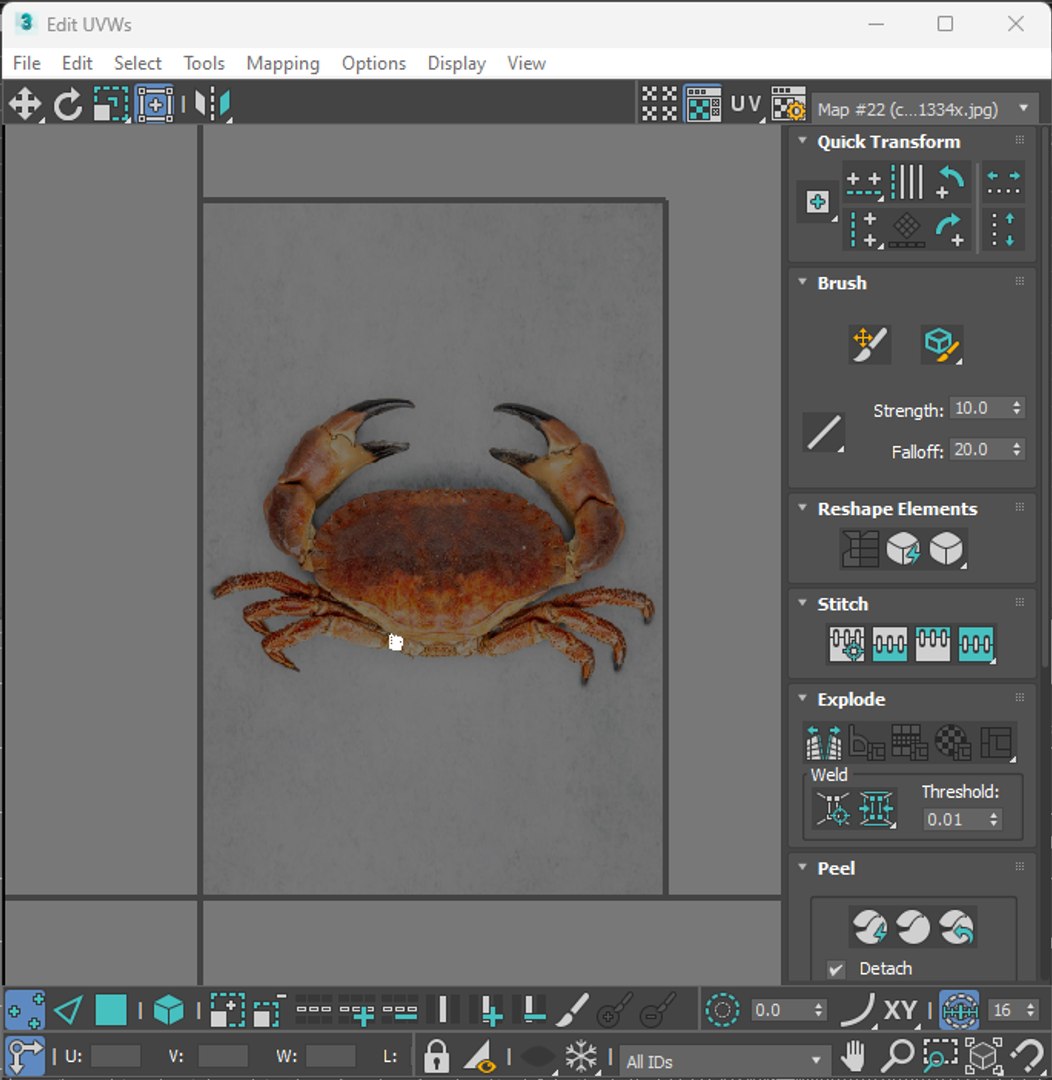 Sea Creatures Set model https://p.turbosquid.com/ts-thumb/28/BwTRVE/oW/screenshot20240125231358/png/1725964744/1920x1080/fit_q87/4e8e4a806630a8476498fcf7e833166206e00cc7/screenshot20240125231358.jpg